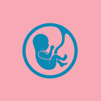 Drugs in Pregnancy and Lactation (Briggs) logo